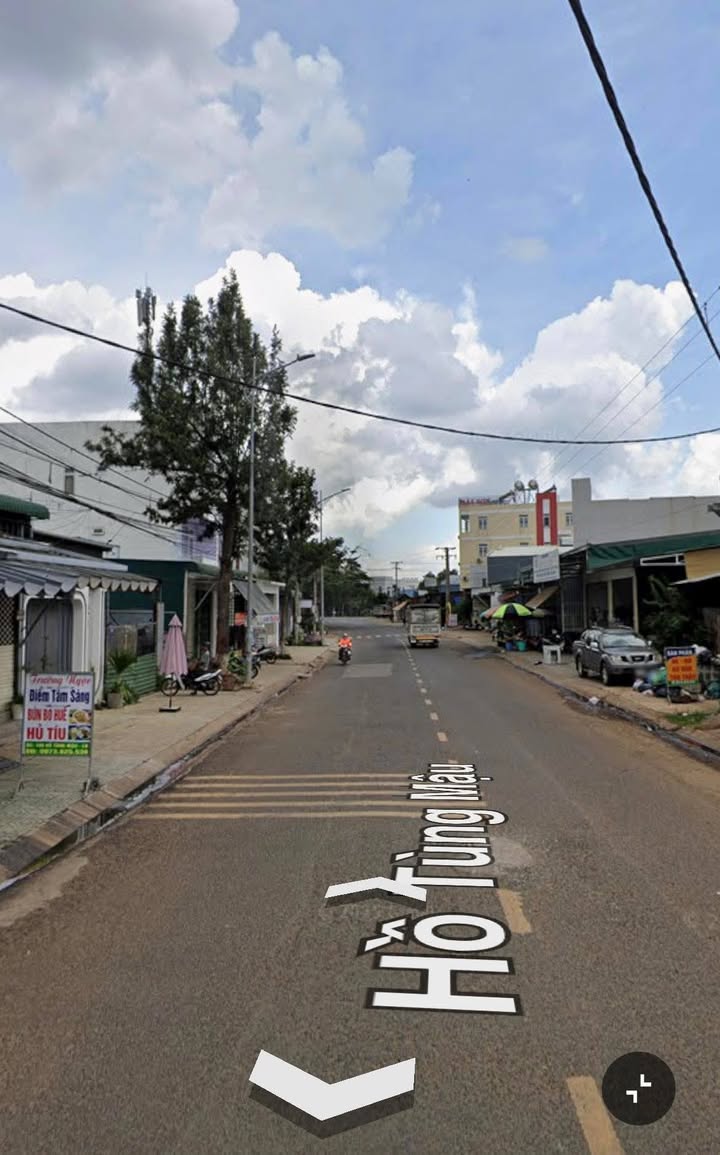 Bán Gấp Đất Nền 130m² Mặt Tiền Hồ Tùng Mậu, Đức Trọng - Kinh Doanh Sầm Uất