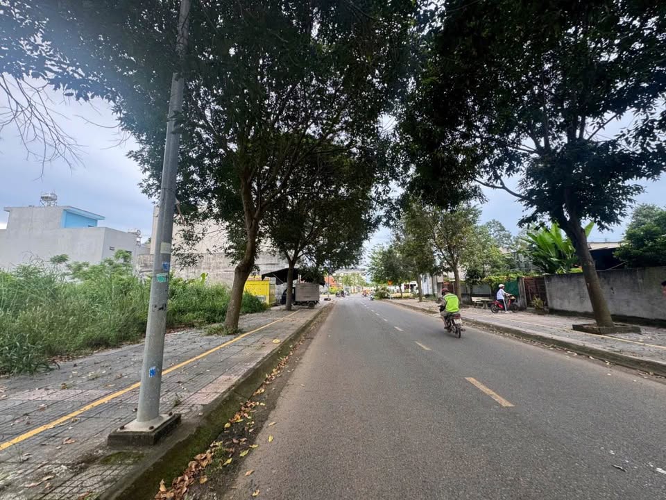 Đất TĐC Hắc Dịch 300m² - Sổ Đỏ Rõ Ràng - Giá 6 Tỷ/Lô