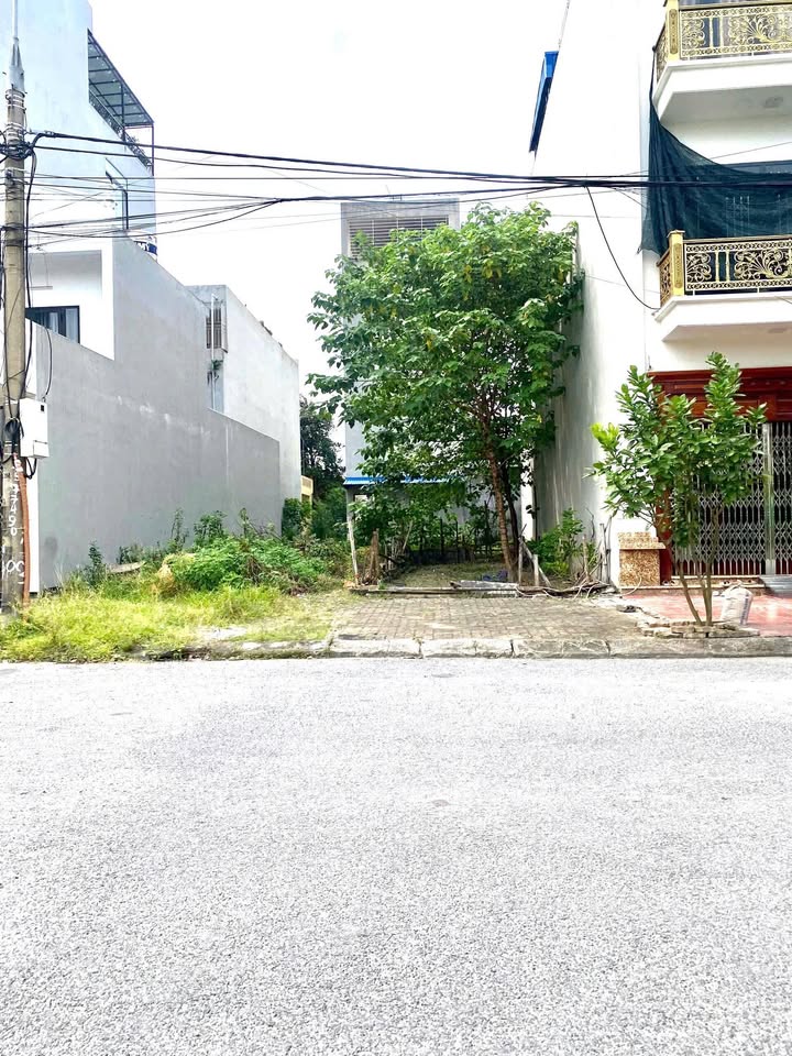 Bán Gấp Đất 200m² Phường Đồng Nguyên, Từ Sơn - Giá 1.6 Tỷ, Sổ Đỏ Sẵn Sàng