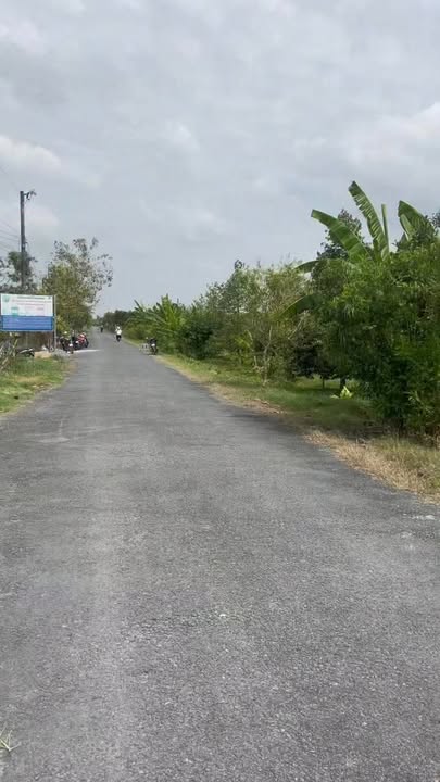 Đất Vườn 5325m² Phong Điền, Cần Thơ - Tiềm năng Nghỉ dưỡng & Đầu tư