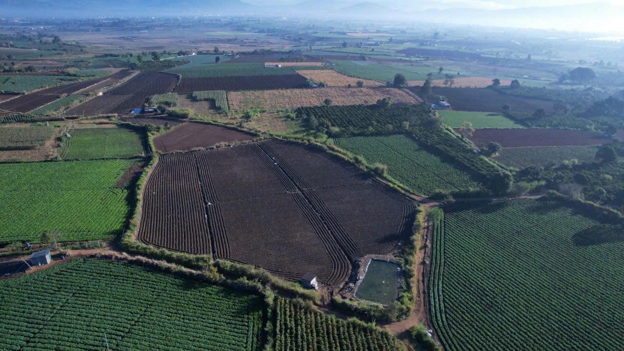 Bán Đất Vườn Lâm Đồng 3.6ha - 3 Mặt Tiền Rộng Giá 650 Triệu/Sào