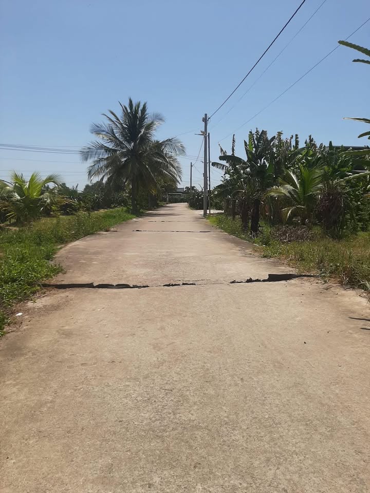 Đất Nền Mặt Tiền Bê Tông Đại Thiện 2, Phan Thiết - 3600m² Sẵn Sàng Đầu Tư