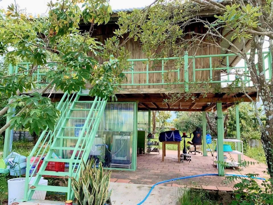 Bán Đất Vườn Nghỉ Dưỡng 2500m² Mặt Tiền Nhựa Hàm Liêm - Giá Đầu Tư 4 Tỷ