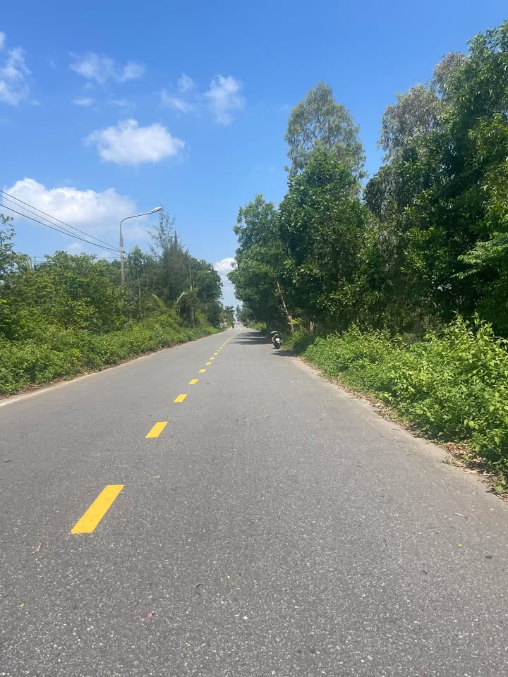 Đất Vườn Tam Phú - Tam Kỳ 193m² - Sổ Hồng Rõ Ràng