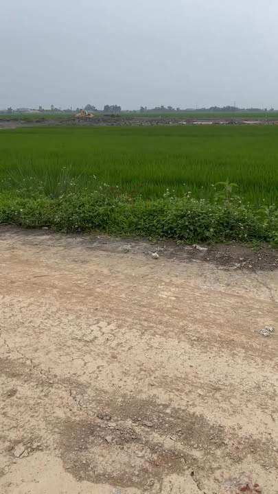 Đất nền 144m² Xã Tân Thọ, Nông Cống - Hai Mặt Tiền Đầu Ve Siêu Đẹp