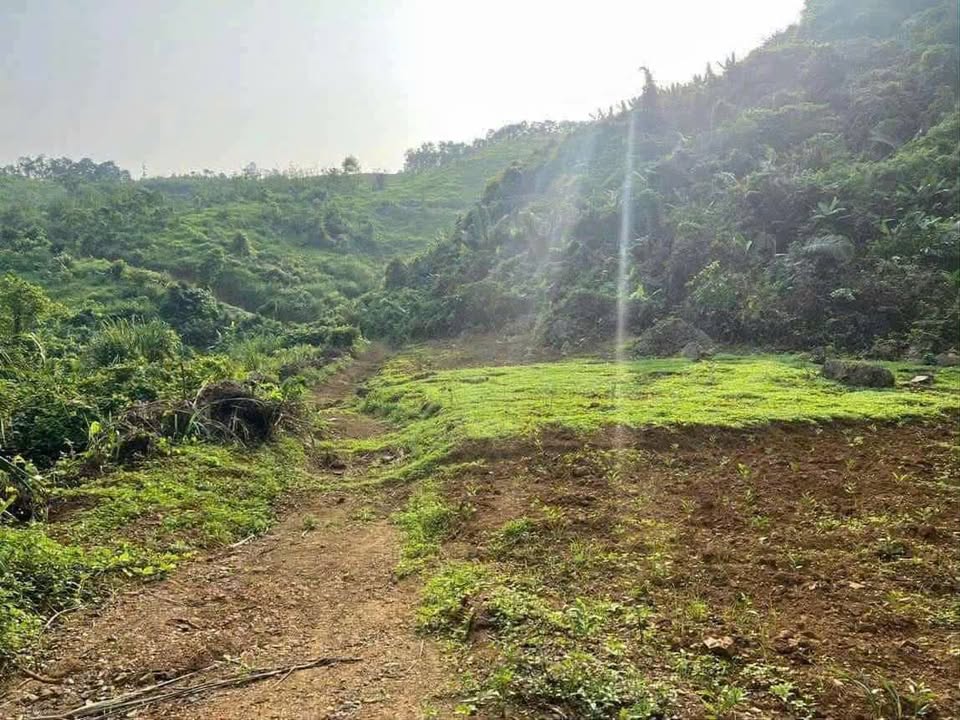 Bán Đất Nền 4ha Thanh Hóa - Sổ Hồng Sẵn Sàng - Giá Đầu Tư Cực Tốt