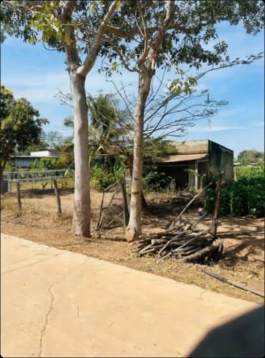 Đất Thổ Cư 291.7m² Ea Súp, Đắk Lắk - Giá Đầu Tư Chỉ 250 Triệu