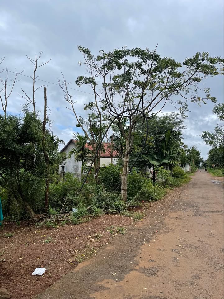 Đất nền Hòa Thắng - Phú Yên: 3 lô liền kề 225m², 1.2 tỷ/lô, vuông vức, sẵn sàng xây dựng