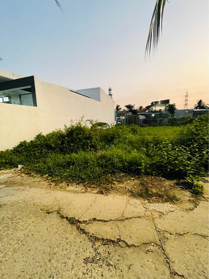 Bán Đất Nền Phước Thạnh Mỹ Tho 95m² - Sổ Thổ Cư, Giá 8xx Triệu