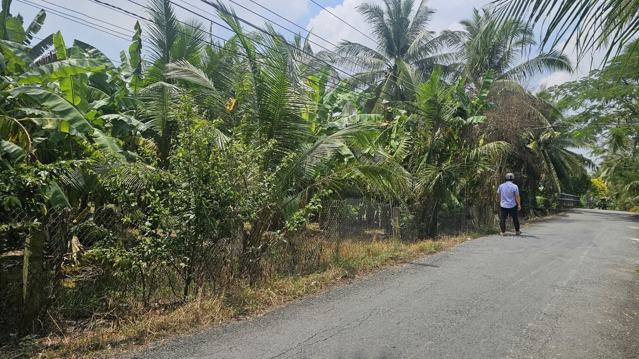 Đất Vườn Tiền Giang 2360m² - Mặt Tiền Nhựa, View Kênh Mát Mẻ, Giá 2.4 Tỷ