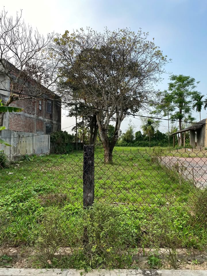 Đất Nền Quảng Trị 2500m² Mặt Tiền Nguyễn Thị Lý - Giá Tốt, Sẵn Sàng Đầu Tư