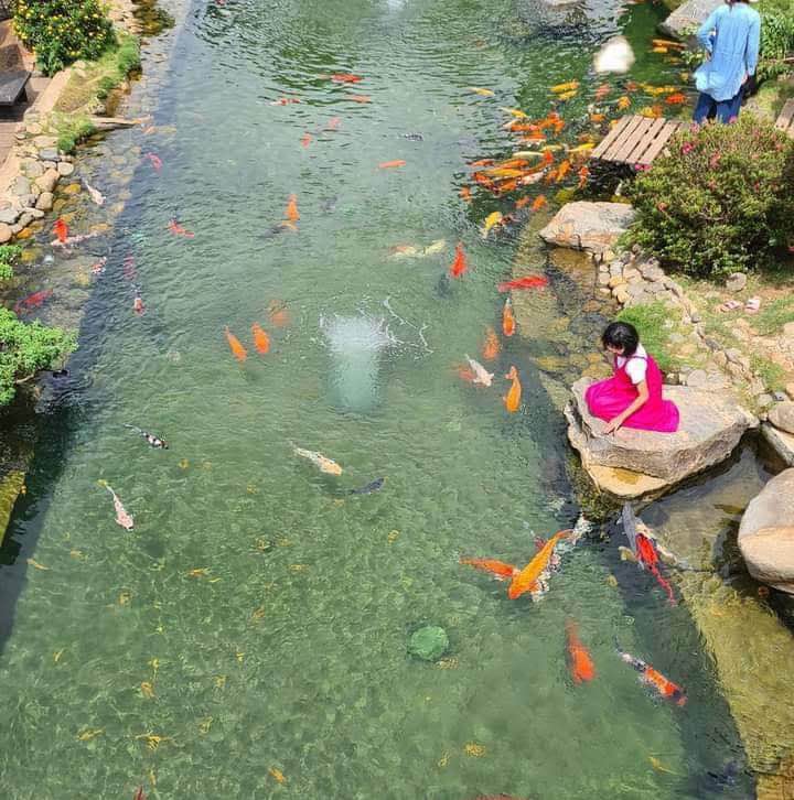 Bán đất nền Dự án Ánh Dương, Bắc Ninh - 100m² gần sân bay, sổ hồng sẵn