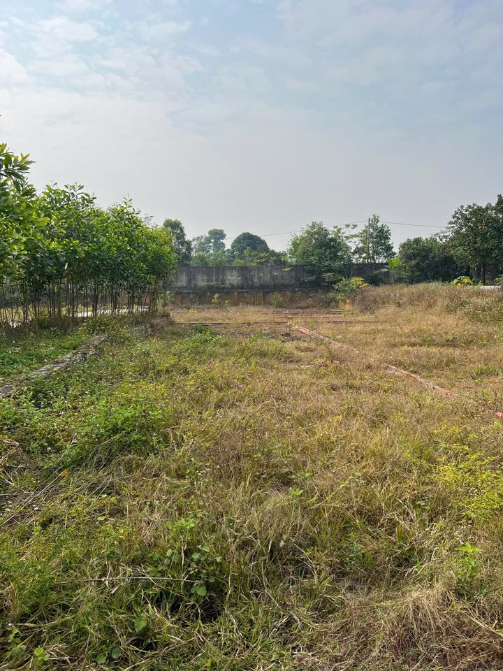 Đất nền Việt Hùng, Quế Võ 100m² - Sổ đỏ sẵn, giá chỉ từ 9xx triệu