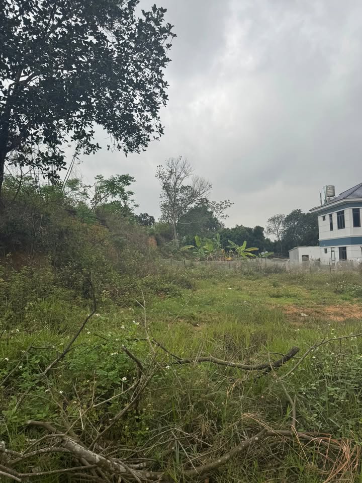 Đất Nền Bắc Giang 147m² - Sổ Đỏ Riêng, Giá Tốt Đầu Tư