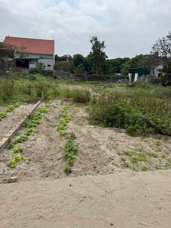 Đất Vàng Mão Điền: 96m² Ngay KCN Thuận Thành 2 - Giá Dưới 3 Tỷ, Ô Tô Tận Nơi!