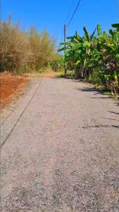 Đất Vườn 3600m² Mặt Tiền Đường Nhựa, Đất Đỏ - Giá 1.3 Tỷ