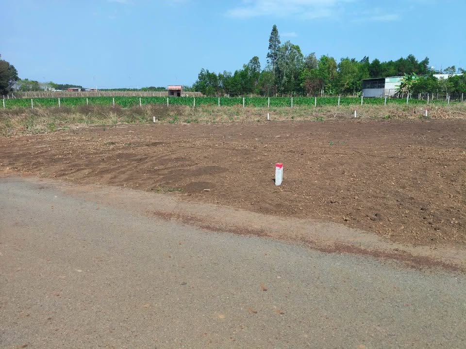 Đất Nền Mặt Tiền Đường Nhựa 112m² Xã Nghĩa Thành, Châu Đức - Chỉ 530 Triệu