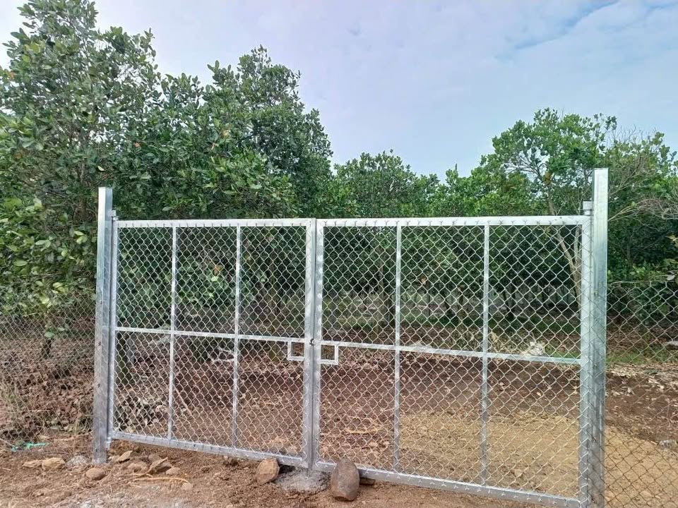 Đất Vườn Long Tân - 1000m² Vườn Mít Thu Hoạch, Giá 1.35 Tỷ