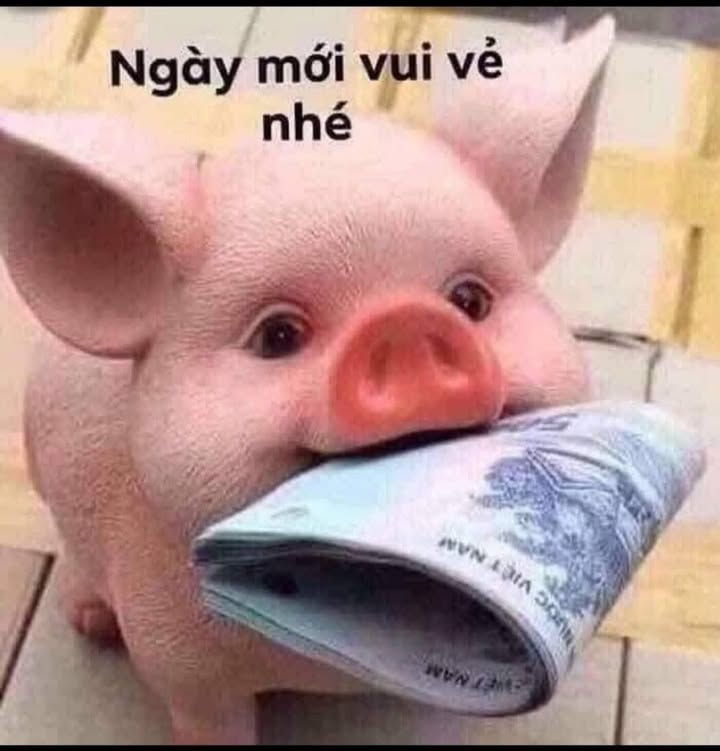 Bán Nhà 180m² Đường Phạm Văn Nghị, Vũng Tàu - 7.9 Tỷ, Kinh Doanh Đa Ngành