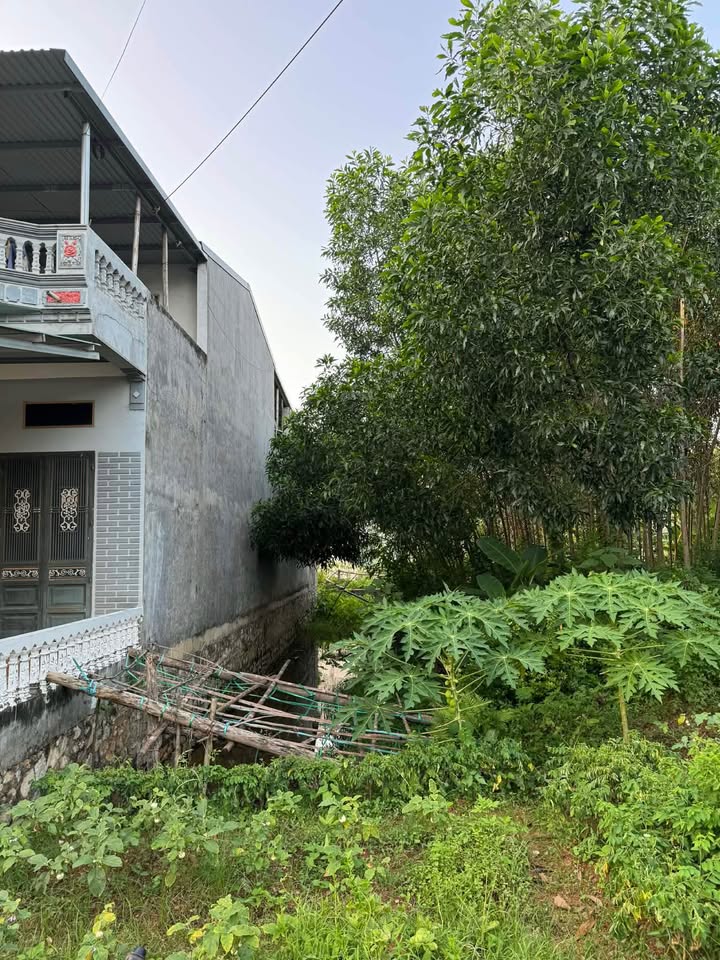 Đất Tràng Đà Tuyên Quang 125m² Full Thổ Cư - Kinh Doanh/Ở Đều Đẹp