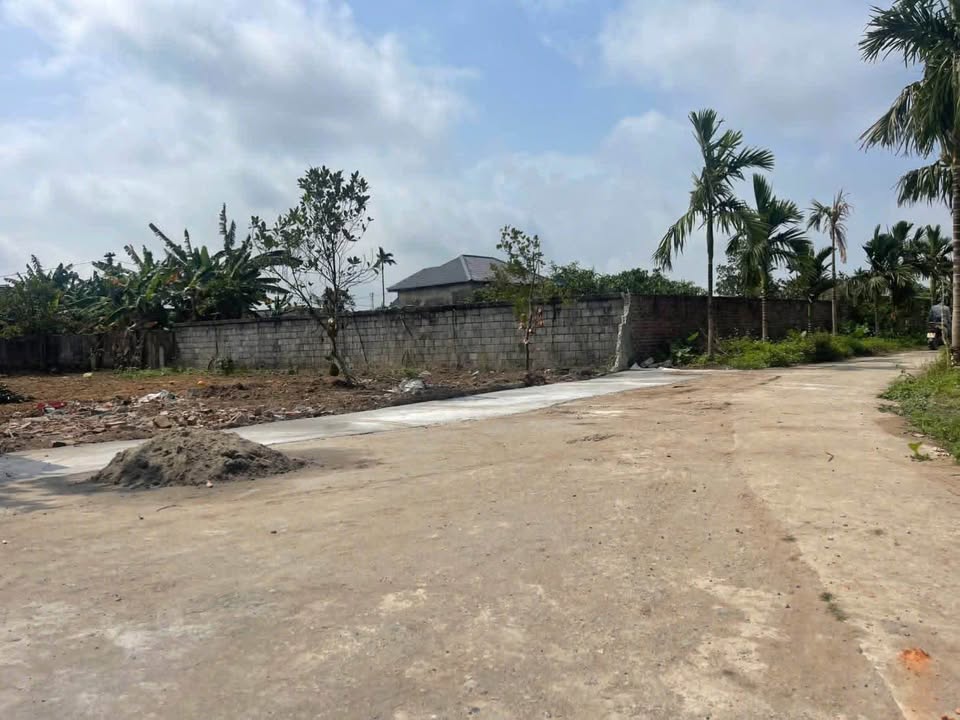 Đất Nền Thái Thụy, Thái Bình - 150m² Giá Hơn 600 Triệu, Ô Tô Quay Đầu