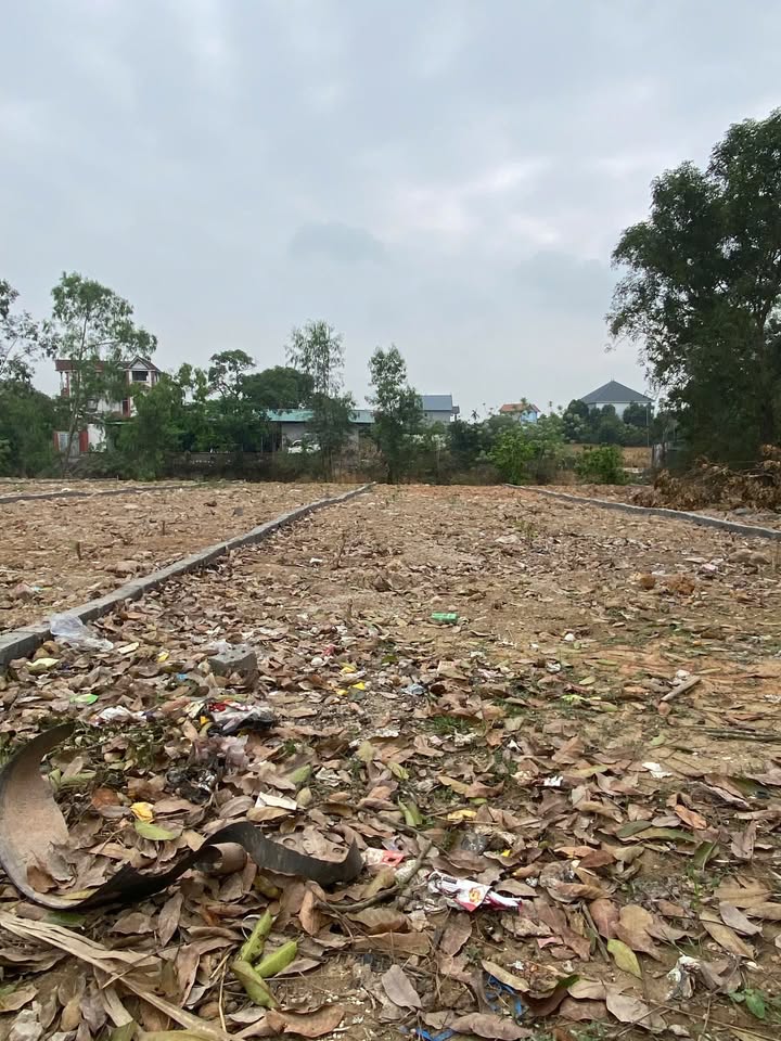 Đất Nền Hiệp Hòa 157m² Sổ Hồng Sẵn Sàng - Giá Chỉ 700 Triệu