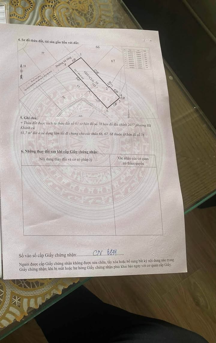 Bán Gấp Đất Vàng 84m² Phường Cao Xanh, Hạ Long - Ô Tô Tận Đất