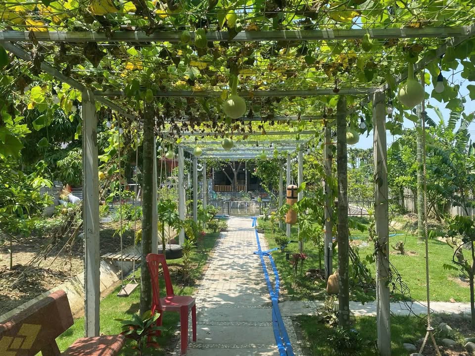 Bán Gấp Nhà Vườn Nghỉ Dưỡng 3350m² Tại Trà Phương, Hải Phòng - Sổ Đỏ Full Đất Ở