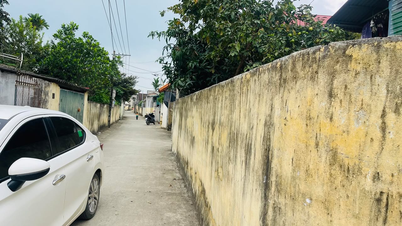 Đất nền 2 mặt tiền 260m² tại Yên Định, Thanh Hóa - Giá chỉ 1.1 tỷ, tiềm năng sinh lời cao