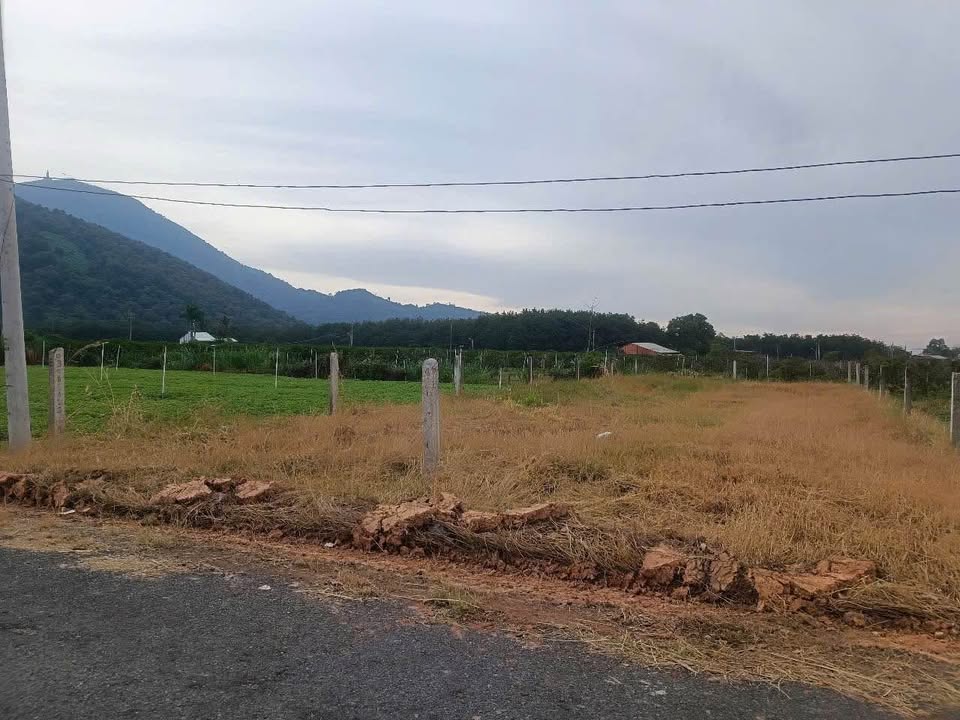 Đất Nền Sổ Đỏ 150m² Gần Núi Bà - Thanh Lợi, Tây Ninh - Giá 850 Triệu