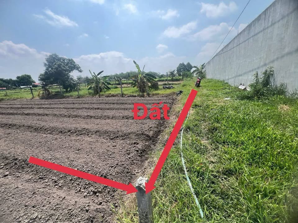 Đất nền 270m² Gia Lộc, Trảng Bàng - Sổ hồng chính chủ, giá 500 triệu