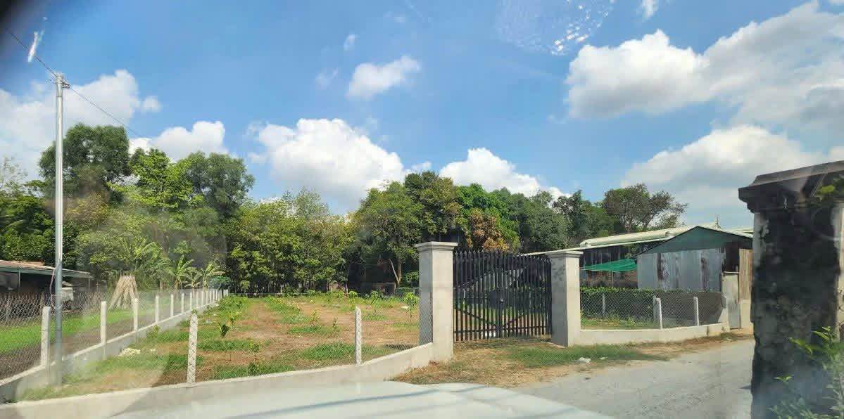 Bán Đất Trảng Bàng, Tây Ninh - 1100m² Sổ Hồng, Gần Chợ & KCN