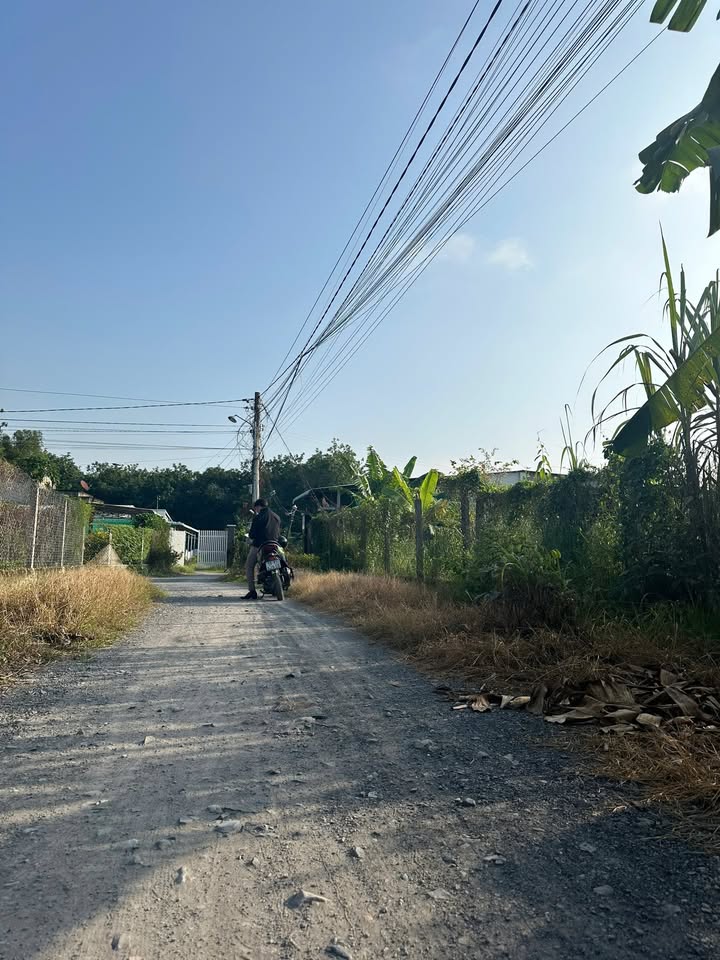 Đất Gò Dầu Tây Ninh 185m² - Gần QL22, Đường Thông, Sẵn Sổ