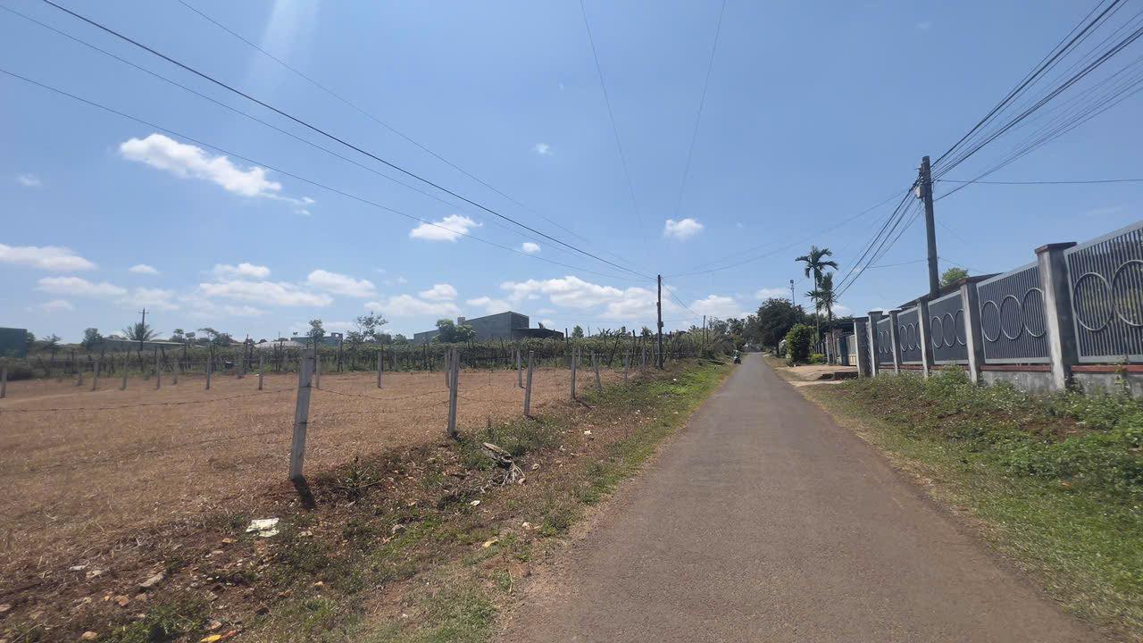 Đất Nền Mặt Tiền Hàn Thuyên, Pleiku - 250m² Full Thổ Cư, Giá Tốt