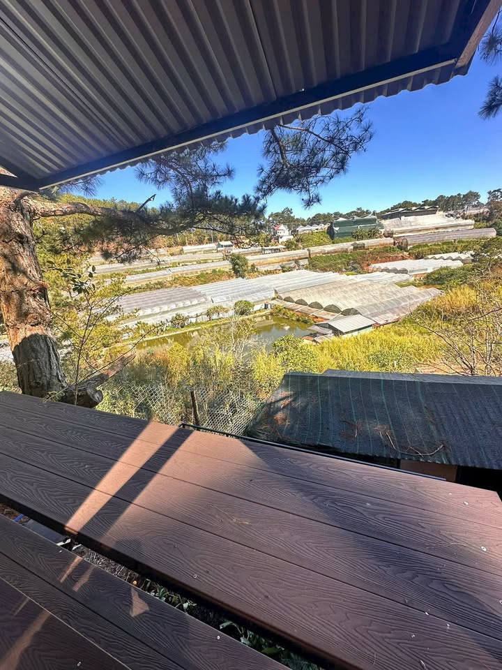 Đất Nông Nghiệp Đà Lạt 170m² - View Săn Mây Vạn Thành - Giá 750 Triệu