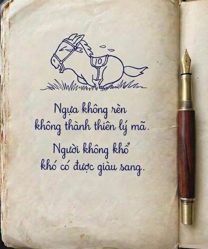 Nhà Mặt Tiền Kinh Doanh Phường 2, Đà Lạt - 146m², 18.5 Tỷ