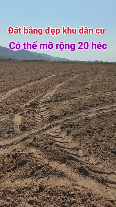 Bán Gấp 5ha Đất Bằng Đẹp Tại Ia Lâu, Gia Lai - Tiềm Năng Mở Rộng 20ha