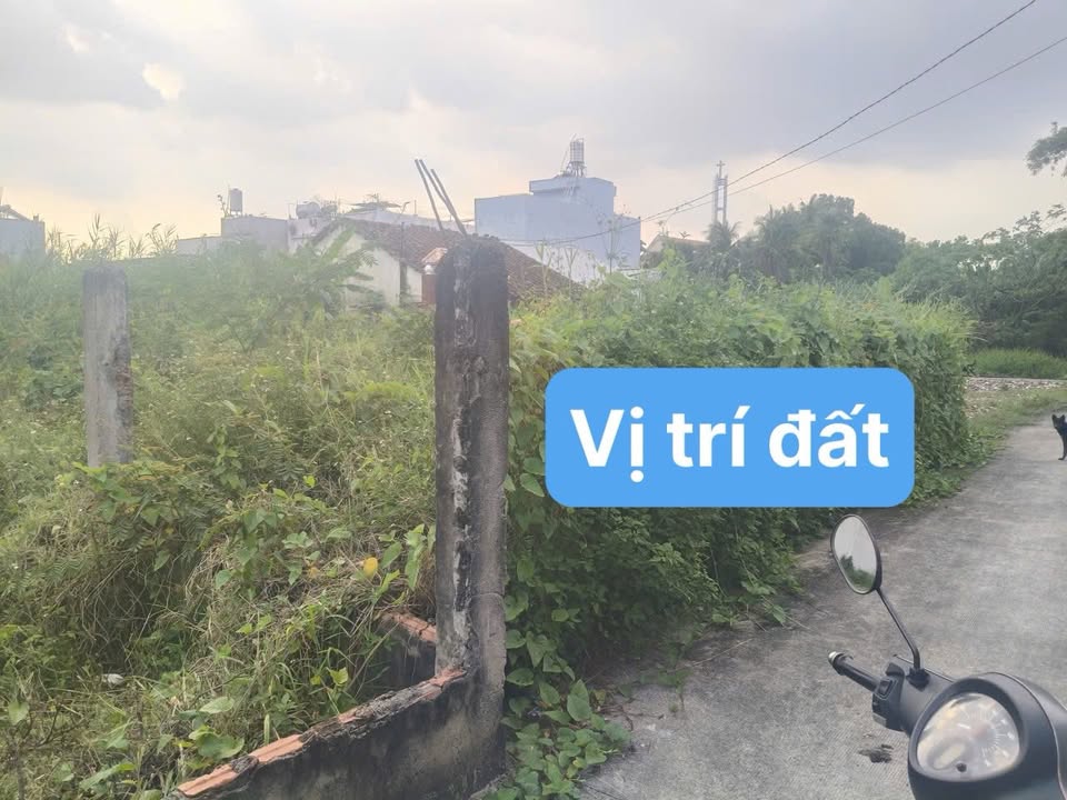 Bán đất Bình Chánh 345m² - Sổ hồng riêng, hẻm xe hơi, giá 6.1 tỷ