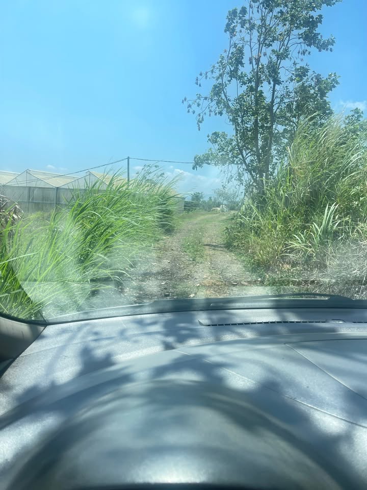 Đất nền Lâm Hà 336m² (8.4x40m) - Sổ đỏ sẵn sàng, giá tốt 450 triệu