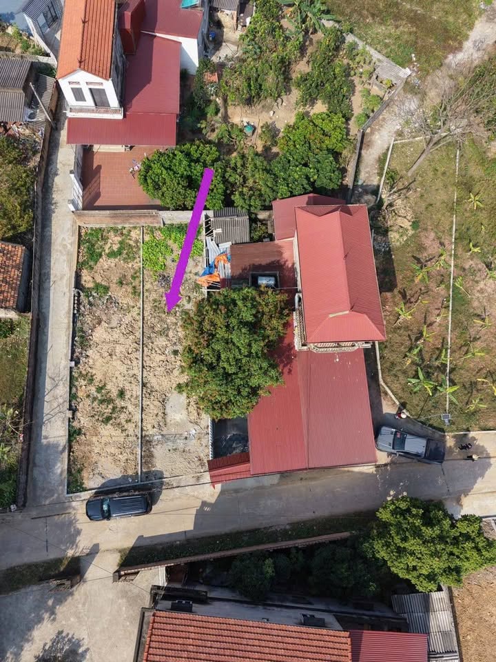 Đất Nền Lan Mẫu, Lục Nam 120m² - Sổ Đỏ, Mặt Tiền 5.5m - Giá Chỉ 1 Tỷ