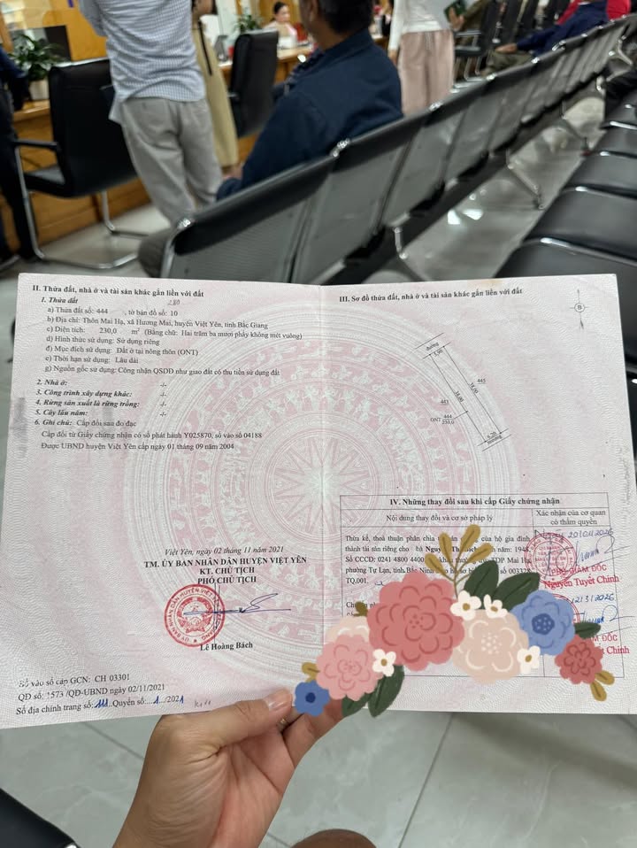 Đất Nền Trục Chính Mai Hạ Lạng Giang 200m² Sổ Hồng - Kinh Doanh Vô Biên