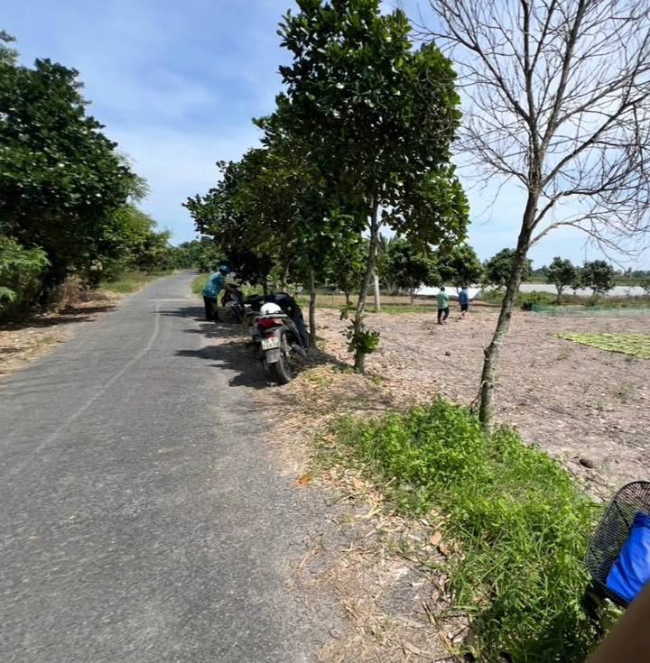 Đất Vườn 2000m² Mặt Tiền Đường Nhựa Mỹ Trà, Đồng Tháp - Đầu Tư Sinh Thái