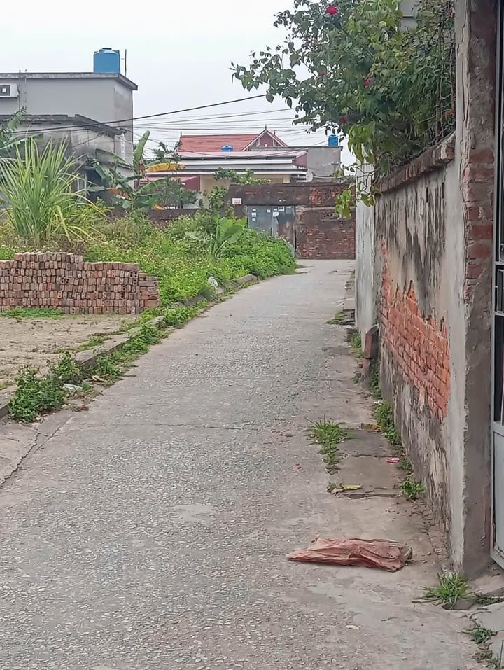 Đất nền Thái Thụy 117m² - Sổ đỏ chính chủ, ô tô vào tận nơi