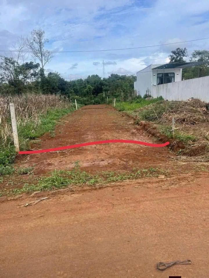 Mặt Tiền Kinh Doanh Đường Nhựa Y Thuyên, Buôn Hồ - 195m² Giá 1.19 Tỷ