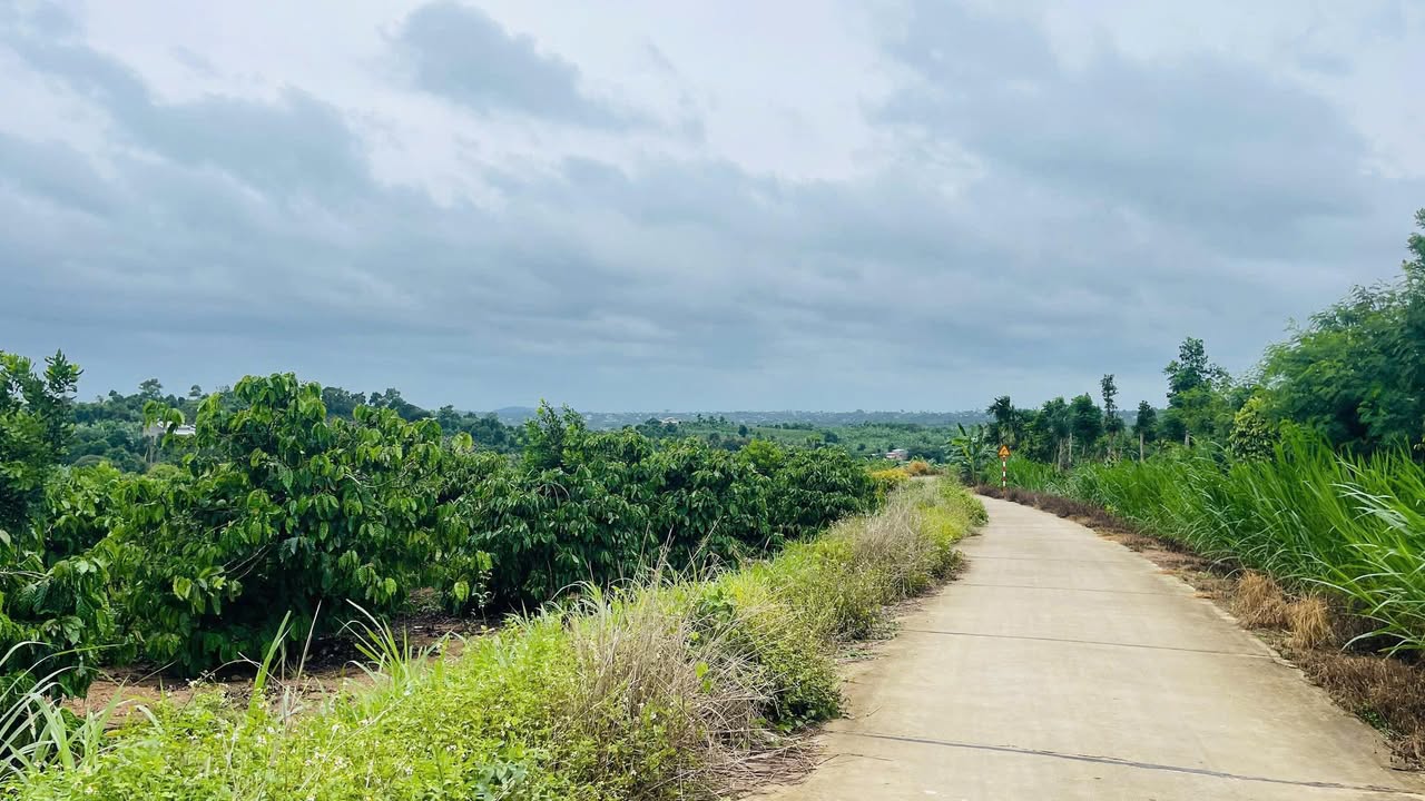 Đất Vườn Đắk Lắk 7200m² - Sổ Đỏ Thổ Cư, Giá Đầu Tư 1.2 Tỷ