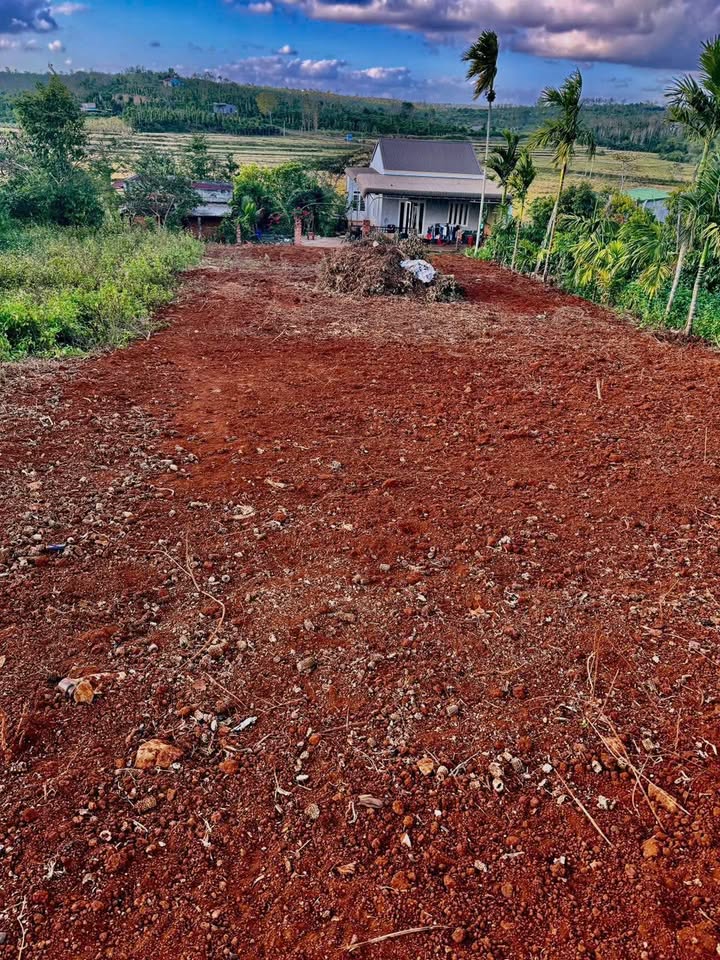 Đất Vàng Ea Siên, Buôn Hồ - 713m² 2 Mặt Tiền, Sổ Hồng Riêng