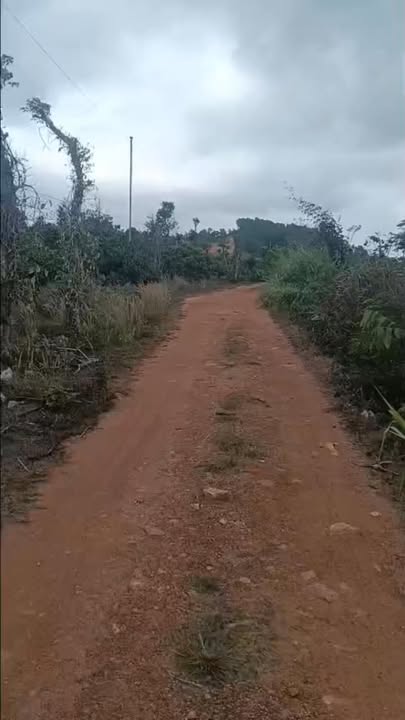 Bán Gấp Trang Trại 1.7ha Sầu Riêng, Tiêu Kinh Doanh - Ea Kar, Đắk Lắk