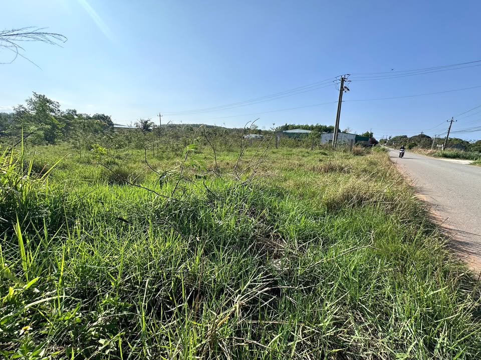 Đất Chính Chủ Ea Păl, Đắk Lắk - 175m² Thổ Cư, Giá 600 Triệu