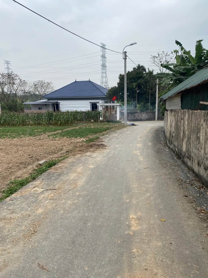 Đất Vĩnh Phúc 150m² - Thổ Cư Sẵn, Gần Chợ Đồng Tĩnh, Tam Dương