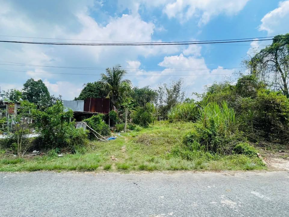 Đất Nền Củ Chi 381m² Mặt Tiền Nguyễn Thị Thi - Sổ Hồng Riêng